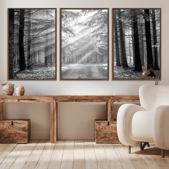 39665-MGV-CV-36X24-Black and White Forest Path Wall Art – Sunlight Rays in Trees Canvas Print, Nature Landscape Decor for Living Room or Office