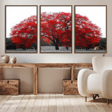 80021-MGV-CV-36X24-Red Tree Wall Art – Striking Black and White Landscape Canvas Print with Vibrant Red Leaves, Modern Nature Decor for Living Room