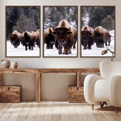 66871-MGV-CV-36X24-Bison Herd Wall Art – Wildlife Buffalo Canvas Print, Rustic Western Nature Photography Decor for Living Room, Office, Cabin, or