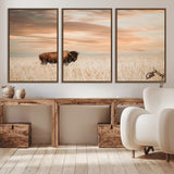 99699-MGV-CV-36X24-Bison in Prairie at Sunset – Wildlife Photography Print, American Buffalo Wall Art, Nature Landscape Canvas Decor for Office