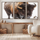 65605-MGV-CV-36X24-Snow Bison Wall Art – Close Up Buffalo Canvas Print, Rustic Western Wildlife Photography, Farmhouse Cabin Lodge Decor for Living