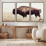 48406-MGV-CV-36X24-American Bison Wall Art – Rustic Buffalo Canvas Print in Prairie Field, Western Wildlife Photography Decor for Cabin, Lodge,
