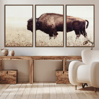 48406-MGV-CV-36X24-American Bison Wall Art – Rustic Buffalo Canvas Print in Prairie Field, Western Wildlife Photography Decor for Cabin, Lodge,