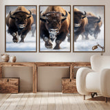 80512-MGV-CV-36X24-Bison Herd Wall Art – Buffalo Running in Snow Canvas Print, Rustic Wildlife Photography Decor for Cabin, Lodge, or Living Room