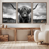17924-MGV-CV-36X24-Highland Cow Wall Art – Black and White Rustic Longhorn Cattle Canvas Print, Farmhouse Animal Photography Decor for Country Home