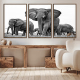 91685-MGV-CV-36X24-Elephant Herd Wall Art – Black and White Safari Canvas Print, African Wildlife Photography Decor for Living Room, Office or