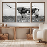 94709-MGV-CV-36X24-Texas Longhorn Wall Art – Black and White Bull Photography Canvas Print, Western Farmhouse Wall Decor for Living Room, Office or