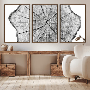98709-MGV-CV-36X24-Tree Ring Wall Art – Black and White Canvas Print Rustic Wood Cross Section, Minimal Nature Inspired Decor for Living Room,