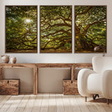 57983-MGV-CV-36X24-Angel Oak Tree Wall Art Canvas Print, Framed Oak Tree Art Picture Print, Angel Oak Perfect Rustic Nature Decor Artwork