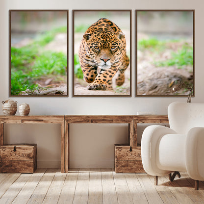 75066-MGV-CV-36X24-Leopard Wall Art Canvas Print, Framed Wild Animal Art Picture Print, Blue Eye Leopard Perfect Wild Minimal Decor Artwork