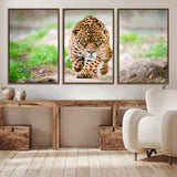 75066-MGV-CV-36X24-Leopard Wall Art Canvas Print, Framed Wild Animal Art Picture Print, Blue Eye Leopard Perfect Wild Minimal Decor Artwork