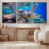 12683-MGV-CV-36X24-Sea Turtle Wall Art – Graceful Ocean Canvas Print with Coral Reef and Tropical Fish, Coastal Marine Life Decor for Beach House,