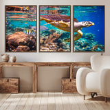 66614-MGV-CV-36X24-Sea Turtle Wall Art – Hawksbill Turtle Swimming Over Coral Reef Canvas Print, Ocean Marine Life Decor for Beach House, Coastal