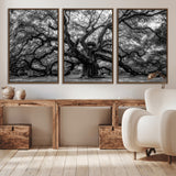 132944706-MGV-CV-36X24-Ancient Tree Wall Art – Black and White Photography Canvas Print Featuring Majestic Twisting Branches, Rustic Nature Artwork for
