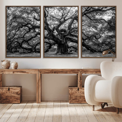 132944706-MGV-CV-36X24-Ancient Tree Wall Art – Black and White Photography Canvas Print Featuring Majestic Twisting Branches, Rustic Nature Artwork for