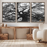 81655611-MGV-CV-36X24-Ancient Oak Wall Art Canvas Print, Framed Twisted Branches Art Picture Print, Gnarled Tree Perfect Moody Nature Decor Artwork