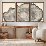 98921313-MGV-CV-36X24-Tree Ring Wall Art Canvas Print, Framed Wood Slice Art Picture Print, Minimalist Wood Perfect Rustic Academic Decor Artwork