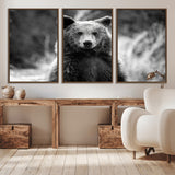 MGV-FC-60X30-3P - Grizzly Bear Wall Art Canvas Print, Framed Black White Bear Art Picture Print, Wild Bear Perfect Rustic Wildlife Decor Artwork