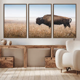 91267849-MGV-CV-36X24-Wild Bison Wall Art Canvas Print, Framed Bison in Prairie Art Picture Print, Rustic Western Perfect Rustic Western Decor Artwork