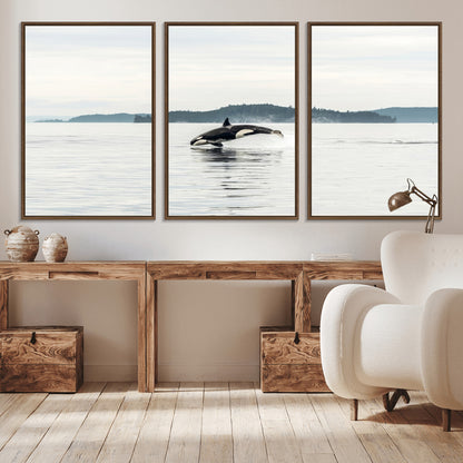 10157174-MGV-CV-36X24-Orca Whale Wall Art Canvas Print, Framed Black White Whale Art Picture Print, Minimalist Ocean Perfect Coastal Minimalist Decor