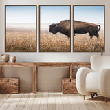 99620201-MGV-CV-36X24-Wild Bison Wall Art Canvas Print, Framed Bison in Prairie Art Picture Print, Rustic Western Perfect Rustic Western Decor Artwork