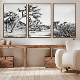 88164251-MGV-CV-36X24-Joshua Tree Wall Art Canvas Print, Framed Desert Path Art Picture Print, Monochrome Desert Perfect Minimalist Desert Decor Artwork