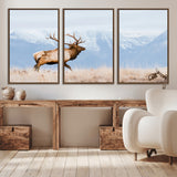 96024025-MGV-CV-36X24-Elk Photography Wall Art Canvas Print, Framed Mountain Wildlife Art Picture Print, Rustic Lodge Decor Perfect Rustic Lodge Decor