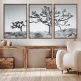 29996209-MGV-CV-36X24-Joshua Tree Art Wall Art Canvas Print, Framed Black White Landscape Art Picture Print, Desert Tree Decor Perfect Southwestern Boho