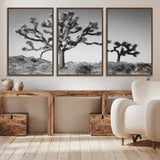 50975475-MGV-CV-36X24-Joshua Tree Art Wall Art Canvas Print, Framed Desert Tree Print Art Picture Print, Black White Nature Perfect Southwestern Boho