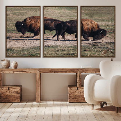 58141885-MGV-CV-36X24-Bison Photography Wall Art Canvas Print, Framed Western Wildlife Art Picture Print, Modern Ranch Perfect Western Rustic Decor
