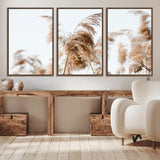 17019393-MGV-CV-36X24-Pampas Grass Wall Art Canvas Print, Framed Neutral Tones Art Picture Print, Minimalist Nature Perfect Boho Minimalist Decor