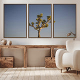 54552043-MGV-CV-36X24-Joshua Tree Art Wall Art Canvas Print, Framed Desert Landscape Art Picture Print, Southwestern Nature Perfect Southwestern Boho