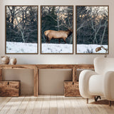36533178-MGV-CV-36X24-Wild Elk Photography Wall Art Canvas Print, Framed Winter Wildlife Art Picture Print, Snowy Forest Perfect Rustic Lodge Decor