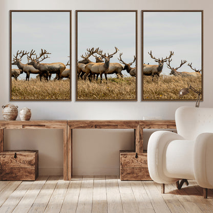 42170220-MGV-CV-36X24-Elk Herd Wall Art Canvas Print, Framed Wildlife Photography Art Picture Print, Majestic Antlers Perfect Rustic Wildlife Decor
