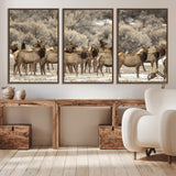 93076148-MGV-CV-36X24-Elk Herd Wall Art – Wildlife Canvas Print of Elk in Winter Landscape, Rustic Western Cabin & Lodge Décor, Nature Photography for