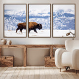 21623194-MGV-CV-36X24-Snow Bison Wall Art – Majestic Buffalo Wildlife Canvas Print, Winter Nature Décor for Rustic Living Room, Farmhouse, Cabin, Lodge