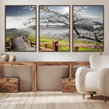 34632598CRY-MGV-CV-36X24-Sakura Cherry Blossom Pathway Canvas Wall Art – Tranquil Walk Through Blossoming Nature – Ready to Hang