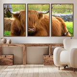 68411138-MGV-CV-36X24-Farmhouse Wall Art – Highland Cow Canvas Print, Rustic Country Cattle Photography Decor for Bedroom, Living Room, Office, Ranch,