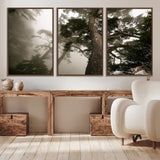 87969493-MGV-FC-60X30-3P_Walnut-Forest Wall Art – Misty Tall Trees Canvas Print, Dramatic Woodland Photography Decor for Bedroom, Living Room, Office, Cabin,