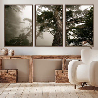 87969493-MGV-FC-60X30-3P_Walnut-Forest Wall Art – Misty Tall Trees Canvas Print, Dramatic Woodland Photography Decor for Bedroom, Living Room, Office, Cabin,