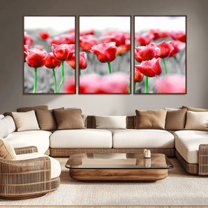 44554-MGV-CV-36X24-Vibrant red tulips stand out beautifully against a black-and-white background, making a striking decor piece perfect for any home