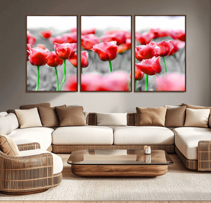 44554-MGV-CV-36X24-Vibrant red tulips stand out beautifully against a black-and-white background, making a striking decor piece perfect for any home