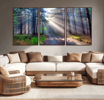 42047-MGV-CV-36X24-Sunlit Forest Path Wall Art – Nature Canvas Print, Serene Woodland Landscape, Perfect Home & Office Decor for Calm and Tranquil