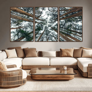 18790-MGV-CV-36X24-Pine Canopy Wall Art – Panoramic View of Towering Pines Canvas Print, Nature-Inspired Decor for Office, Cabin or Living Room