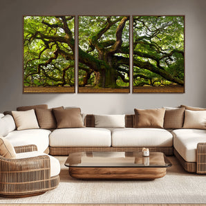 29407-MGV-CV-36X24-Ancient Oak Tree Wall Art – Majestic Nature Canvas Print, Large Tree Photography Decor for Living Room or Office