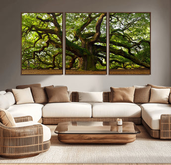 29407-MGV-CV-36X24-Ancient Oak Tree Wall Art – Majestic Nature Canvas Print, Large Tree Photography Decor for Living Room or Office