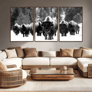 62434-MGV-CV-36X24-Bison Herd Wall Art – Majestic Black and White Buffalo Canvas Print, Wildlife Nature Photography Decor for Living Room, Office or