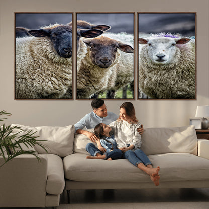 18418-MGV-FC-60X30-3P_Walnut-Sheep Wall Art Canvas Print, Framed Farmhouse Sheep Art Picture Print, Sheep Herd Perfect Rustic Farmhouse Decor Artwork