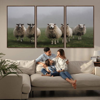 87339-MGV-FC-60X30-3P_Walnut-Sheep Wall Art – Rustic Farmhouse Canvas Print Flock Standing Misty Field Countryside Photography, Country Animal Decor for Living