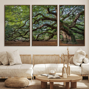 MGV-FC-60X30-3P - Historic Tree Wall Art Canvas Print, Framed Mossy Tree Art Picture Print, Twisted Branches Perfect Nature Southern Decor Artwork
